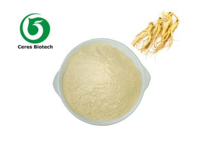 Cina 5% alla polvere 51542-56-4 dell'estratto del ginseng di 80% Ginsenoside in vendita