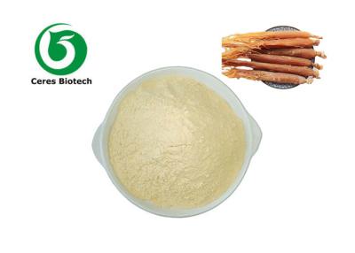 China Natural High Quality  Ginseng Powder 5%-80% Soluble in Water Panax Ginseng Extract Powder for sale