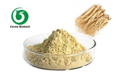 China Polvo caliente del extracto del ginseng de la venta con el 5% el 20% el 80% Ginsenosides en venta