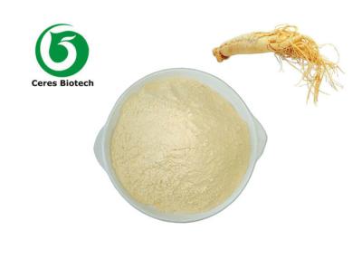 China Polvo caliente Ginsenoside del extracto del ginseng de la venta 5%-80% del precio bajo en venta