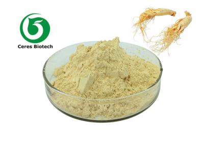 China Polvo puro del extracto del ginseng del polvo del ginseng de Panax de la raíz de Ginsing de la categoría alimenticia en venta