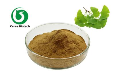 China Supply  Bulk Natural Organic Ginkgo Biloba Leaf Extract Powder for sale