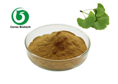 China 5ppm Ginkgo Biloba Leaf Extract Powder 24% Flavones 6% lactones for sale