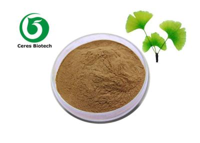 China High purity ginkgo biloba leaf extract/ginkgo biloba extract ginkgo biloba extract powder for sale