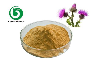 China Herbal Milk Thistle Extract 80% Silymarin Powder Cas 65666-07-1 for sale