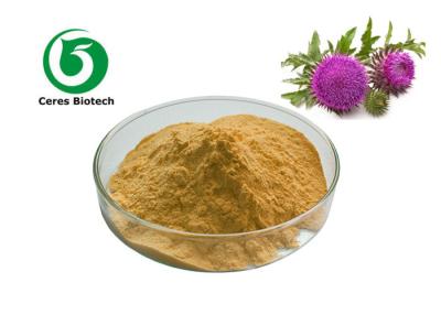 China UV 80% Herbal Milk Thistle Seed Extract Silymarin Powder Healthcare Supplement for sale