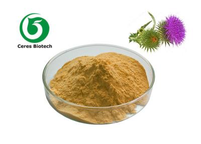 China Pó Herb Extract Natural Supplement do extrato do cardo de leite de 80% Silymarin à venda