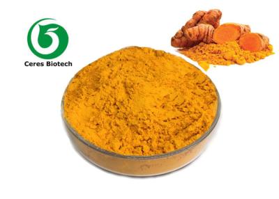 Cina Solvente di erbe dell'acqua del   della polvere della curcuma dell'estratto della curcuma di elevata purezza in vendita