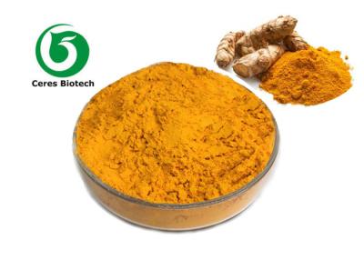 China A curcuma natural Longa L extrai solúvel em água à venda