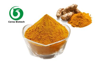 Cina Curcuma longa preservativo L polvere dell'estratto della curcuma dell'alimento dell'estratto in vendita