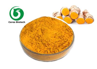 China Extração solvente do Curcumin solúvel em água natural do extrato da cúrcuma à venda