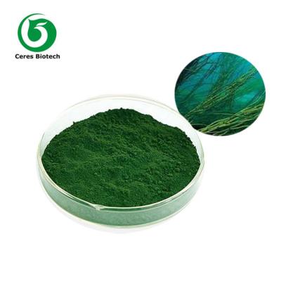 China Ningunos llenadores que ninguna carpeta Spirulina no pulverice/la radiación anti 250mg 500mg de la tableta en venta