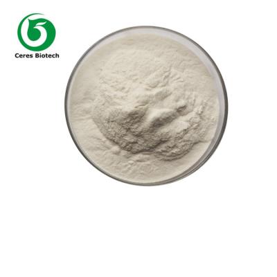 China Dietary Supplement Amino Acid Powder 98.5% Purity L-Carnitine Powder CAS 541-15-1 for sale