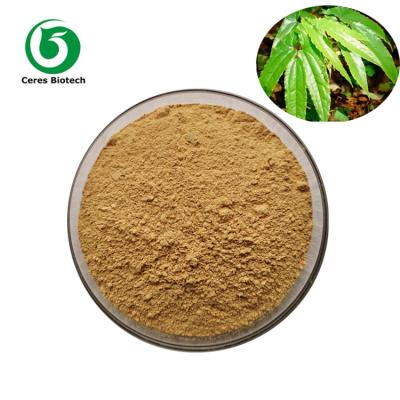 China Grado médico córneo natural de Icariin el 98% del extracto del Epimedium de la cabra en venta