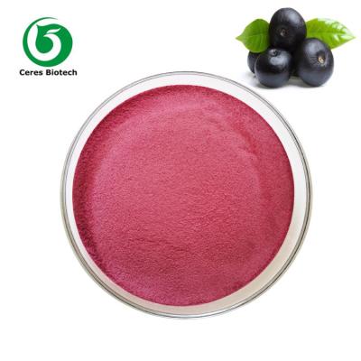 China Water Soluble Fruit Juice Powder Organic Acai Berry Powder for sale