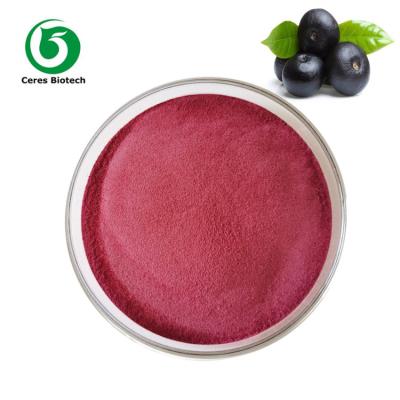 China Organische Natuurlijke   Acai Berry Powder 90% voor Gezondheidszorg Te koop