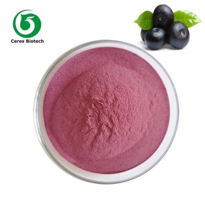 China Natural Fruit Juice Powder Food Grade Acai Berry Powder 90% for sale