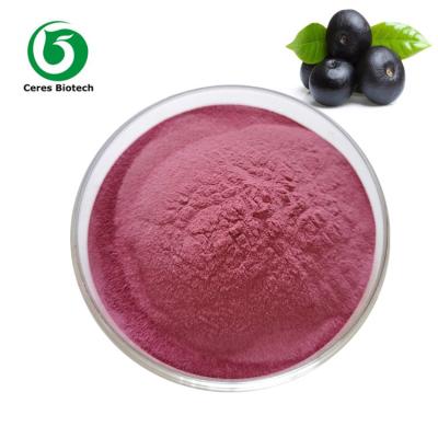 China Het Voedselrang Acai Berry Powder For Weight Loss van 100% Natura Te koop