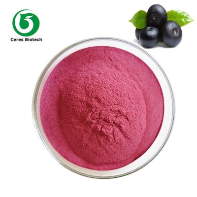 China De Zorg van Maquiberry fruit juice powder acai Berry Extract Powder For Health Te koop