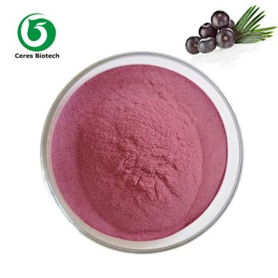 China Organic Fruit Extract Acai Berry Juice Powder Food Grade 90% for sale