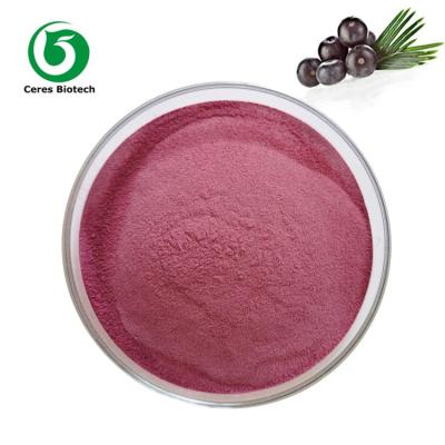 Cina Digestione migliore Juice Powder Acai Berry Powder naturale della frutta di 100% in vendita