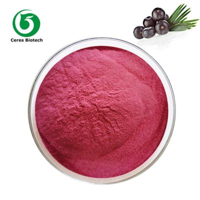 China ISO Kosher Halal Natural Acai Berry Powder For Health Care for sale