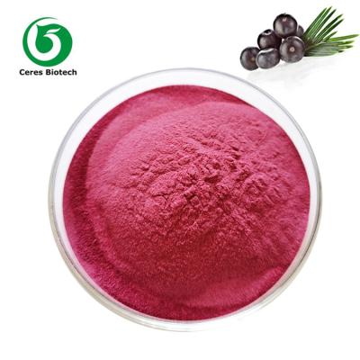 Cina Commestibile organico di 90% Acai Berry Extract Powder For Juice in vendita