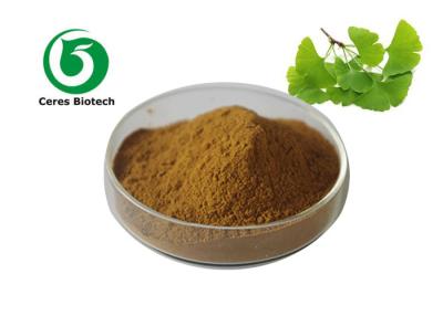 China Flavone 24% and Lactones 6% Ginkgo Biloba Extract Powder for Cardiovascular Health en venta