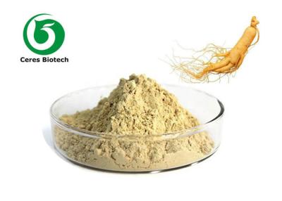 China Extracto natural 5%-80% Ginsenoside del ginseng para la atención sanitaria Supplyment en venta