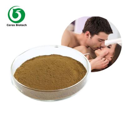 Κίνα Απόσπασμα 5%-98% Epimedium Icariin μίσχων φύλλων για το φυσικό κεράτινο ζιζάνιο αιγών υγείας των ατόμων προς πώληση