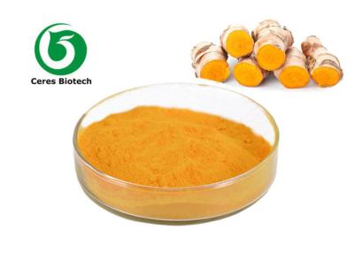 Cina Curcuma longa L della curcumina 10% dell'estratto della curcumina della curcuma della polvere di giallo arancio in vendita