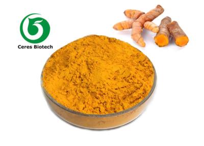 China Pó natural do amarelo alaranjado do extrato 95% do Curcumin da cúrcuma da extração da água à venda