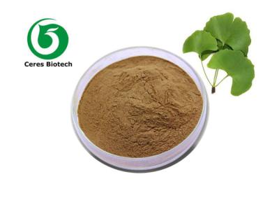 China Health Care Ginkgo Biloba Extract Powder Pharmaceutical Grade Flavone 24% Lactones 6% for sale