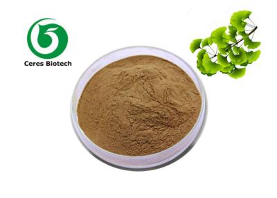 China 24 Flavone 6 Lactones Ginkgo Biloba Extract Powder Traditional Chinese Medicine Ethanol Extraction for sale