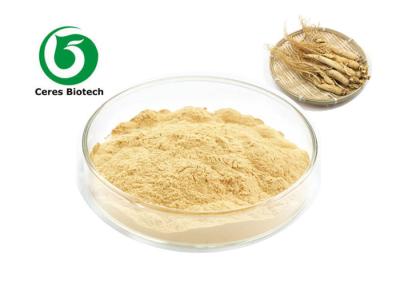 China Mental Ability Siberian Root Extract 30% 80% Ginsenosides Panax Ginseng Extract for sale