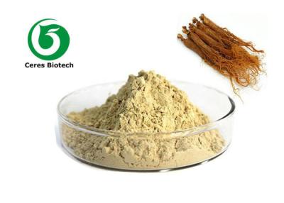 China Polvo rojo natural puro Ginsenoside el 10% del extracto del ginseng para mejorar inmune en venta