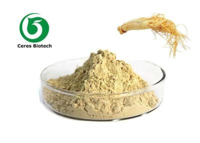 China Polvo Ginsenoside natural puro el 20% del extracto del ginseng de CAS 90045-38-8 para la atención sanitaria en venta