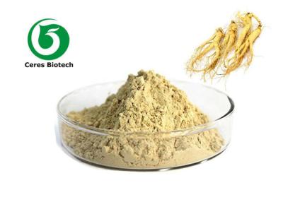 China Categoría alimenticia farmacéutica del ginseng de Panax del polvo amarillo claro natural del extracto el 80% en venta