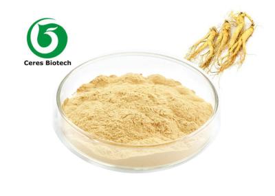 China Light Yellow Ginseng Extract Powder Ginsenoside 50% Adjusting Blood Press for sale