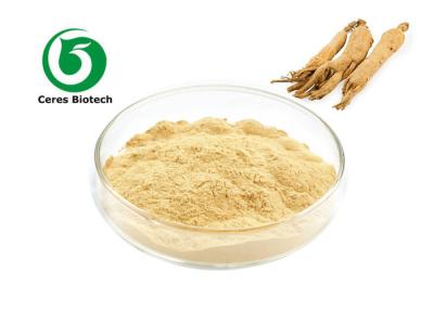 China Natural Ginseng Root Extract Powder Ginsenoside Rh2 For Health Care for sale