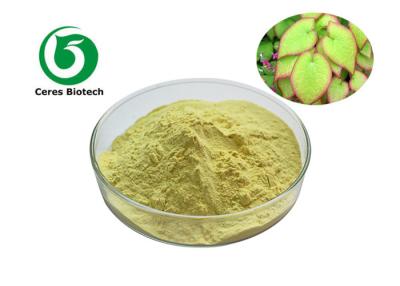 China Categoría alimenticia farmacéutica de Icariin el 98% del polvo del extracto del Epimedium del amarillo de Brown en venta