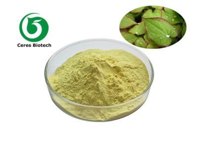 China Polvo córneo natural Icariin el 90% del extracto del Epimedium de la mala hierba de la cabra amarillo claro en venta