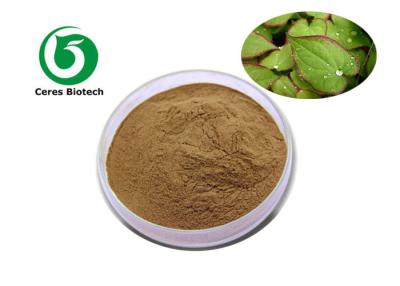 China Extracto natural puro el 10% del polvo de Icariin del Epimedium de Brown para aumentar la sexualidad masculina en venta