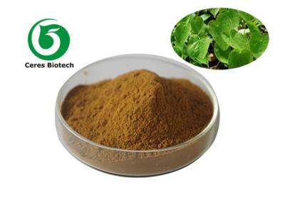 China Icariin 20% Epimedium Extract Powder Bone Health Joint Function Support for sale