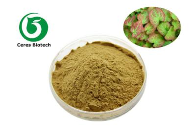 China High Efficiency Epimedium Extract Powder Icariin 5% For Enhancing Male Sexuality for sale