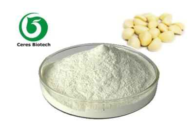 China Antibiotic Garlic Allicin Powder Extract 25% Antimicrobial Solvent Extraction for sale