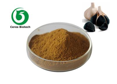 China Black Garlic Extract Powder 10/1 For Health Care Food Grade Regulate Blood Sugar for sale