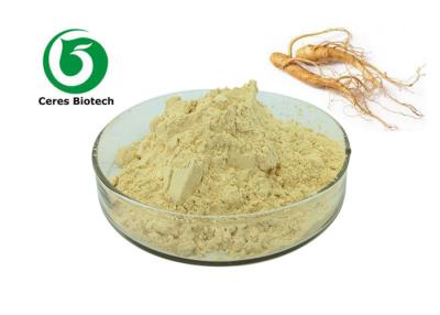 China Anti-Aging Ginseng Extract Powder Ginsenoside 30% Medical / Food Grade for sale