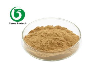 China Field Horsetail Extract Herbal Extract Powder for Health Products with Excellent Medicinal Effects for sale