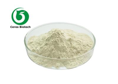 China 100% Natural Genistein 98% Herbal Extract Powder for sale